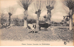 Espagne - N°71461 - Paisaje Ceretano Cercanias De PUIGCERDA - Otros & Sin Clasificación