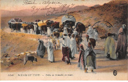 Algérie - N°79515 - Scènes Et Types - Tribu De Nomades En Route - Scènes & Types
