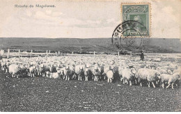 Chili - N°78918 - Rebano De Magallenes - Troupeau De Moutons - AFFRANCHISSEMENT DE COMPLAISANCE - Chili