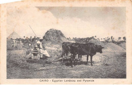 Egypte - N°78392 - LE CAIRE - CAIRO - Egyptian Landscap And Pyramide - Le Caire