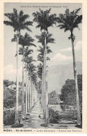 Brésil - N°78134 - RIO DE JANEIRO - Jardin Botanique - Avenue Des Palmiers - Rio De Janeiro