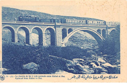 MAROC - RABAT - SAN31361 - Le Chemin De Fer à Voie Normale Entre Rabah Et Fez - Train - Rabat