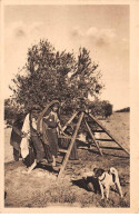 TUNISIE - SAN26985 - Récolte Dans Une Jeune Oliveraie - Tunesien
