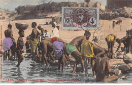 Sénégal - N°79511 - Sur Les Bords Du Fleuve - Senegal