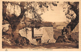 ALGERIE - DELLYS - SAN31397 - Coin Pittoresque - Pli - Autres & Non Classés