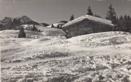 Schleich-Alm Mit Kitzbüheler Horn Bei St.Johann In Tirol, Um 1955 - St. Johann In Tirol