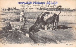 Algérie - N°79613 - Chameaux à La Séguia - Carte Avec Un Cachet De Bateau "Torpilleur D'Escadre Bélier" - Andere & Zonder Classificatie