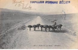 Algérie - N°79610 - Etude Sur Une Route - Carte Avec Un Cachet De Bateau "Torpilleur D'Escadre Bélier" - Other & Unclassified