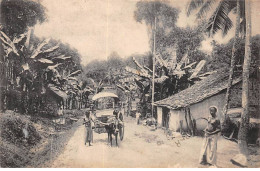 SRI LANKA - SAN39418 - Village Scene - Sri Lanka (Ceylon)