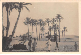 Egypte - N°83197 - Une Oasis Du Désert - Carte Photo - Other & Unclassified