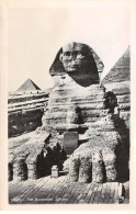 EGYPTE - SAN51180 - Cairo - The Excavated Sphinx - Le Caire