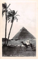 EGYPTE - SAN51177 - Cairo - The Chefron - Pyramid - Autres & Non Classés