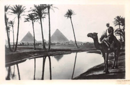 EGYPTE - SAN51179 - Cairo - The Pyramids - Le Caire