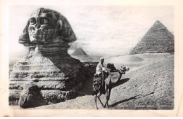 EGYPTE - SAN51181 - Cairo - The Excavated Sphinx - Le Caire