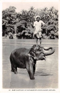 INDE - SAN51214 - Baby Elephant At Katugastota River - Kandy- Ceylon - Inde