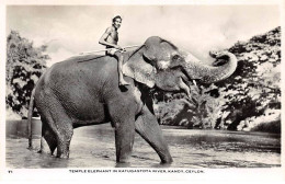 INDE - SAN51206 - Temple Elephant At Katugastota River - Kandy - Ceylon - India