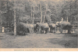 INDE - SAN51223 - Exposition Coloniale Les Eléphants D' L'Inde - Inde