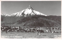 CHILI - SAN51280 - Carte Photo - Cerro - Puntiagudo - Cile