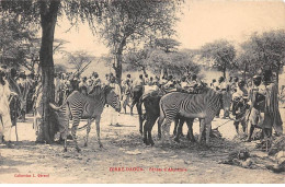 ETHIOPE - SAN56529 - Dirré Daoua - Zèbres D'Abyssinie - Ethiopia