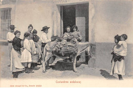 ESPAGNE - SAN51025 - Costumbres Andaluzas - En L'état - Granada