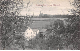 Allemagne - N°88005 - BONN - Brungsmühle In Der Blûtenzeit - Bonn