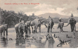 SRI LANKA - SAN63776 - Elephants Bathing In The River - At Katugastotta - Sri Lanka (Ceylon)