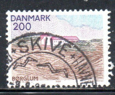 DANEMARK DANMARK DENMARK DANIMARCA 1980 LANDSCAPES NORTHEN JUTLAND BOREGLUM MONASTERY 200o USED USATO OBLITERE - Used Stamps