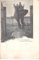 LAOS - SAN50146 - Un éléphant Avec Son Bât - Laos