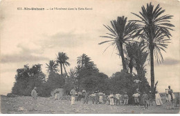 ALGERIE - SAN64583 - Aïn Guisser - Le Marabout Dans Le Bois Sacré - Altri & Non Classificati