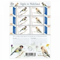 MDB-BK26-558 MINT ¤ NEDERLAND NETHERLANDS 2019 6w In Serie  ¤ HIBOUX  - OISEAUX - BIRDS - PAJAROS - VOGELS - VÖGEL - - Pájaros Cantores (Passeri)