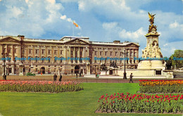 R071893 Buckingham Palace. London. 1966 - Sonstige & Ohne Zuordnung