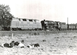Locomotive Allemande - DB Dampflokomotive - Lok  - Chemin De Fer