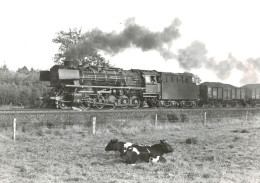 Locomotive Allemande - DB Dampflokomotive -  - Chemin De Fer