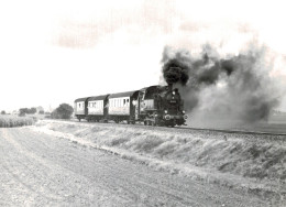Locomotive Allemande - DB Dampflokomotive - Lok 80 036 - Ferrovie