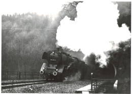 Locomotive Allemande - DB Dampflokomotive - Lok 003 276   Wilsecker Tunnel - Railway