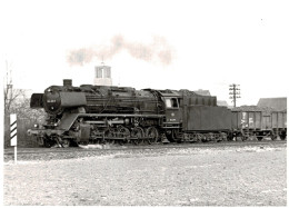 Locomotive Allemande - DB Dampflokomotive - Lok 044 231-9 - Chemin De Fer
