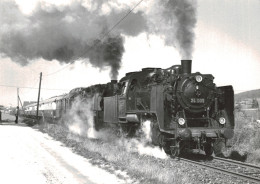 Locomotive Allemande - DB Dampflokomotive - 24 009 U. 083 Mit Den FEK Rheingoldzug Bei Lengerich (TWEB)  4-80 - H.Palmer - Ferrovie