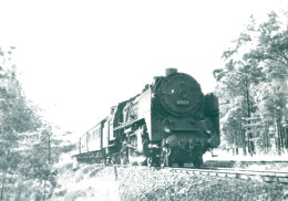 Locomotive Allemande - DB Dampflokomotive - 62 007  Bw Frankfurt  In/bei Erkner   - Chemin De Fer