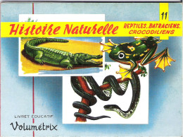 Volumetrix - Livret éducatif - 11 - Histoire Naturelle - Reptiles Batraciens  - 48 Illustrations - Geographie