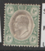 Transvaal  1904 SG  260    1/2d   Mounted Mint - Transvaal (1870-1909)