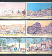 6  CHROMO' S  LIEBIG  -  DE SAHARA OF GROOTE WOESTIJN    (C 1903) - Liebig