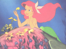 Disney, Little Mermaid - Andere & Zonder Classificatie