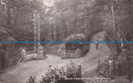 R097339 36307. Aberystwyth Cwm Woods. Sepiatone Series. Photochrom. 1919 - Mundo