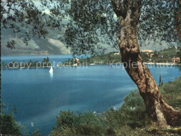 72507840 Lago Di Garda Isola Di Sogno Firenze - Other & Unclassified