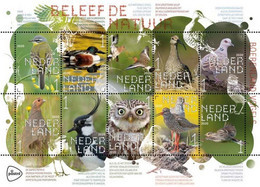 MDB-BK10-132-3 MINT ¤ NEDERLAND 2020 10w In Serie ¤ BOERDERIJ VOGELS - OISEAUX - BIRDS OF THE WORLD - PAJAROS - VÖGEL - Sperlingsvögel & Singvögel