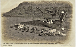 2555 Maroc -BOU - DENIB :CADAVRES MAROCAINS AU PIED DE LA GARA ( Attaque Du 1 Er Sept. 1908) Circul 1908 + Post Mortem - Other & Unclassified
