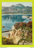 Haute Corse CALVI N°1233 Un Coin Du Port Plein De Soleil Et De Touffes De Fleurs En 1970 Yachts - Calvi