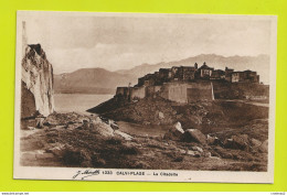 Haute Corse CALVI PLAGE N°1033 La Citadelle VOIR DOS - Calvi
