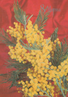 FLOWERS Vintage Postcard CPSM #PAR723.A - Blumen