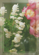 FLOWERS Vintage Postcard CPSM #PAR568.A - Blumen